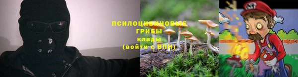 твердый Абаза