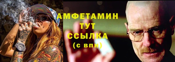 твердый Абаза
