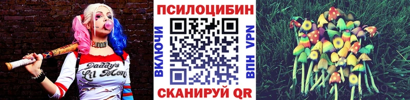 Псилоцибиновые грибы Psilocybe  Добрянка 